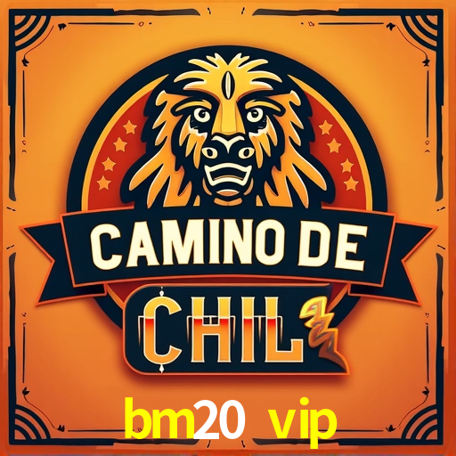 Football Betting bm20 vip
