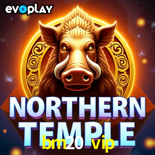 Player Reviews bm20 vip