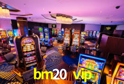 Daily Bonuses bm20 vip