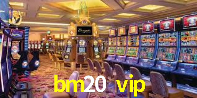 bm20 vip App Interface